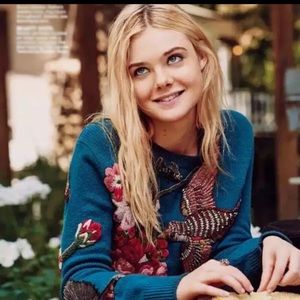 Runway bird embroidery embellished wool knit pullover sweater